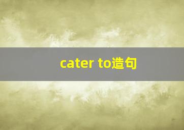 cater to造句